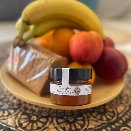 Agroktima Drosou Appartamento Epidaurus